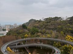 -福道