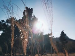 -威海大乳山景区