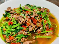 香菜炒牛肉-壹盏灯(蚂蚁工房店)