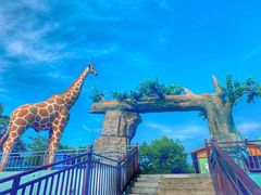 -西霞口神雕山野生动物世界