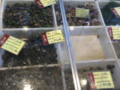 -胖大嫂渔家排档(半边山店)