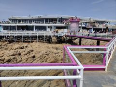 -北戴河碧螺塔海上酒吧公园