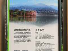 -美的鹭湖森林度假区