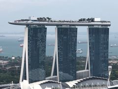 -新加坡瑞士史丹福酒店