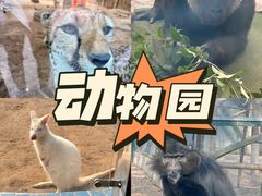 -郑州市动物园
