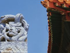 -北陵公园
