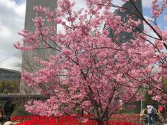 -丹东路渡口(轮渡站)