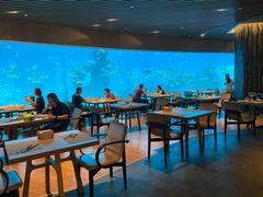 大堂-海棠湾洲际-涛·海底餐厅·美人鱼·自助餐·海底隧道