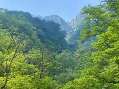 -泰山风景名胜区