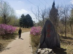 -黑龙江省森林植物园