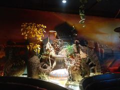 -楼兰新疆主题餐厅(坂田佳华领汇广场店)