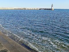 -一口猪海鲜浑锅·东北家常菜