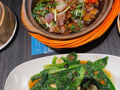 -鹊玥·粤菜小馆(汇智国际商业中心店)