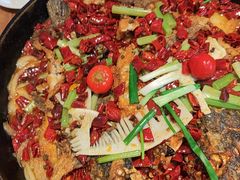 -老板恋上鱼(恒隆广场店)