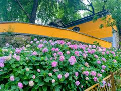 -惠山古镇·寄畅园