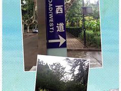 -西安交通大学(雁塔校区)