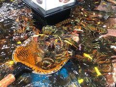-盒马鲜生(曜一城店)
