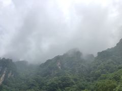 -青峰峡国家森林公园