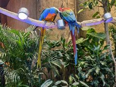 -杭州开元森泊度假乐园