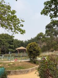 -番禺儿童公园