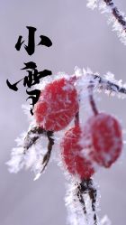-安吉拉青春化管理中心