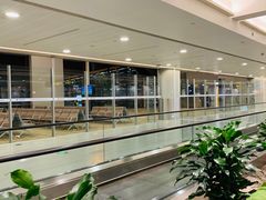 -上海浦东国际机场-T2航站楼