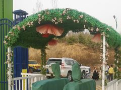 -西部长青自然儿童乐园