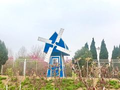 -大连凯洋马术俱乐部有限公司