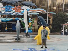 -海合安成都极地海洋公园