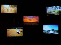 -中国天府农业博览园