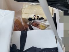 -BLACKSWAN黑天鹅(环球店)