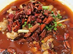 馋嘴蛙-香融府·烤鸭·家常菜(马家堡路店)
