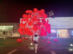 -重庆市江北嘴中央商务区中央公园