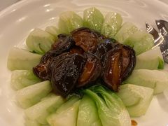 -上海和平饭店龙凤厅 Dragon Phoenix