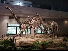 -自贡恐龙博物馆