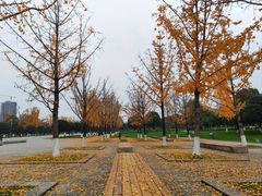 -重庆中央公园(渝北区)