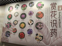 -北京中医药大学-中医药博物馆