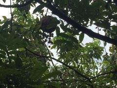 -茂德公草堂