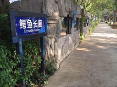 -广州长隆飞鸟乐园