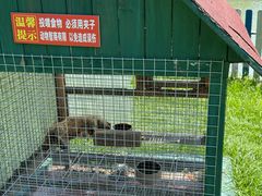 -上海佘山茂御臻品之选酒店(原佘山艾美酒店)