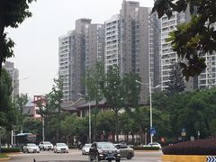 -霸王牛肉(天秀景地店)