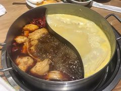 -青瓷火锅料理(西单大悦城店)