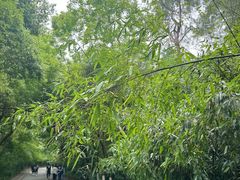 -一叶觅山(半边街店)