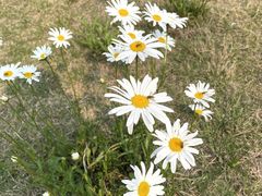 -青岛银沙滩温德姆至尊酒店