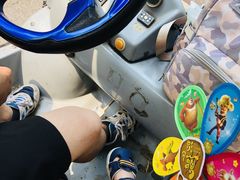 -长白岛森林公园