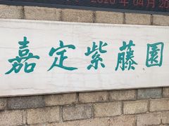 -嘉定紫藤园