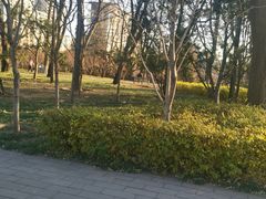 -玲珑塔公园