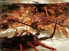 -万龙洲海鲜(大兴绿地缤纷城店)