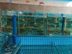 -蓝珊甄选海鲜自助·火锅大排档(近阿那亚店)