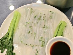 -金龙寨(龙城路店)